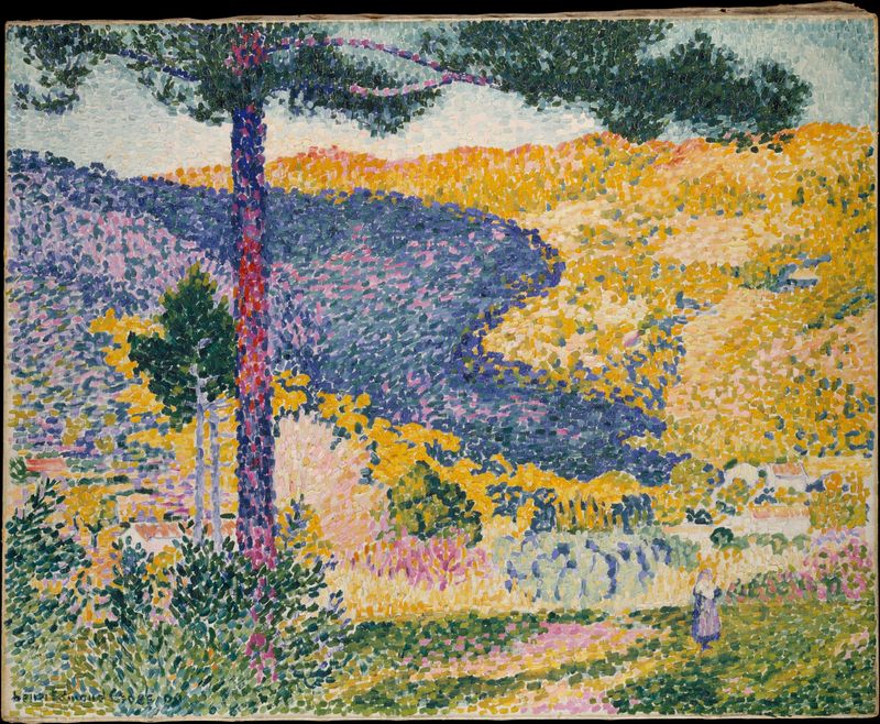 Valley with Fir (Shade on the Mountain), 1909, Henri-Edmond Cross